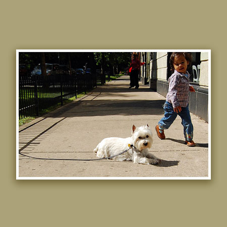 Slide #6